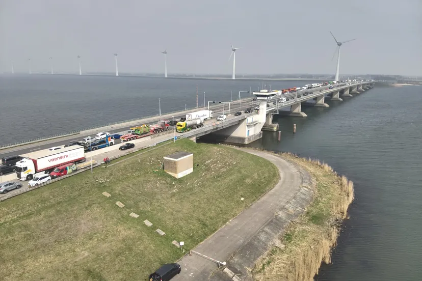 20250326 vleermuisplaten03