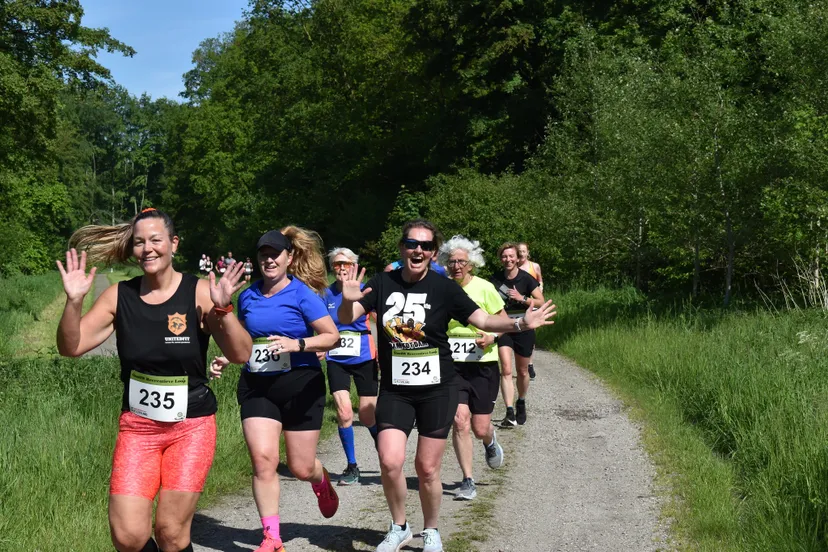 53716138801 8fc883916f k