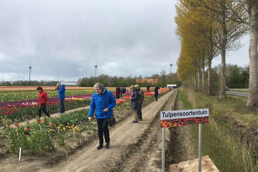 tulpensoortentuin henk van drie 23042017 img 2675