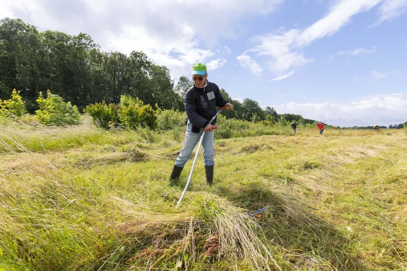 01persfoto landelijke maaidag