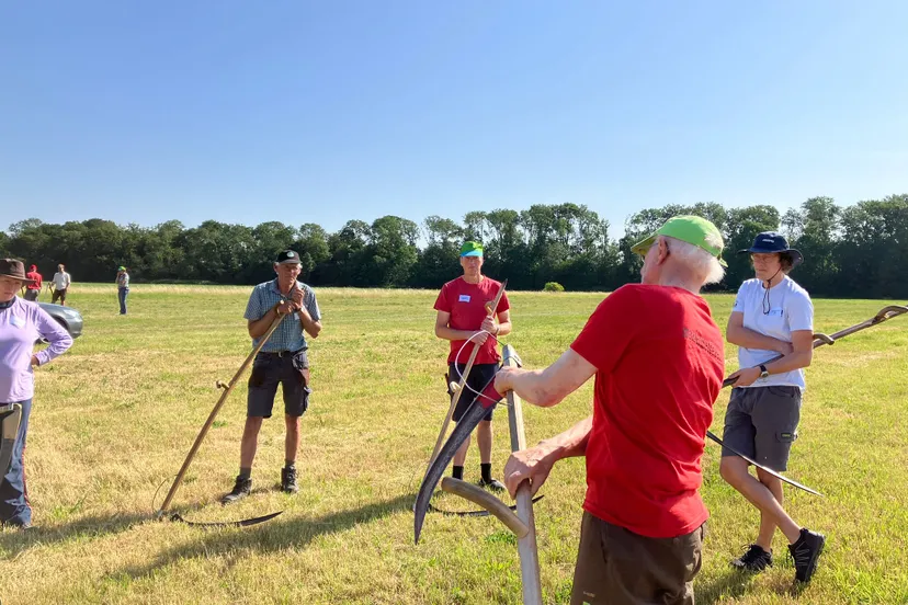 20250423 maaien met de zeis