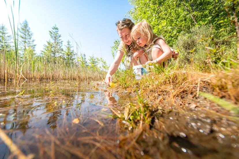 unnamed sjors evers uit jetent