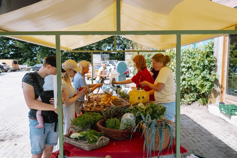 foto 4 persbericht zomermarkt