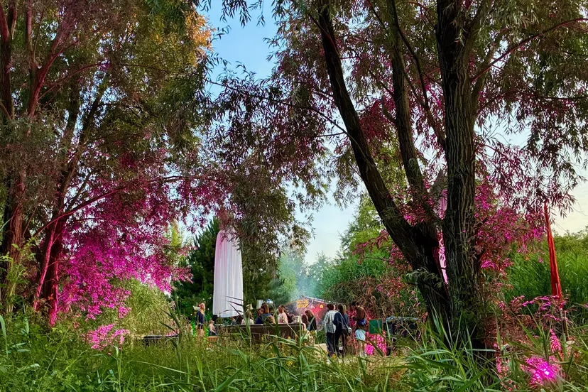 wilde weide 2025 img 1841