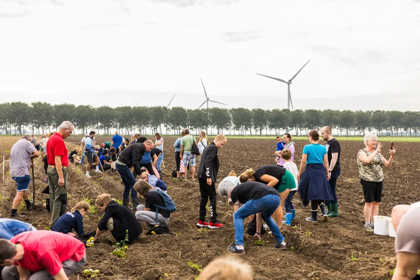 20240907_Aardappelrooidagen_004_1209