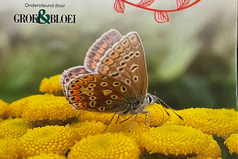 IMG_0378 2025  voorkant kleiner