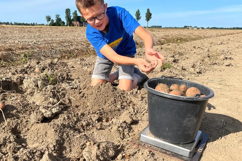 Winnaar-NK-Aardappelrooien-Jorrit-Kooistra-Lauwerzijl-