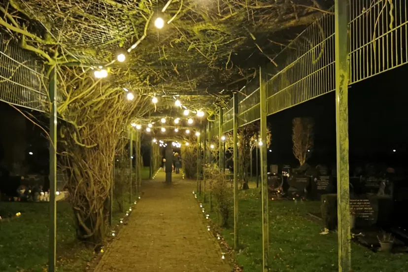 3d89e1a6-056a-4406-9fc8-597974b5f4f2[1]