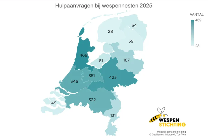 Hulpaanvragen bij wespennesten 2025 - Wespenstichting