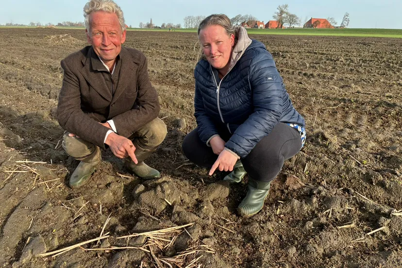 20260312_eerste kievitsei Flevoland