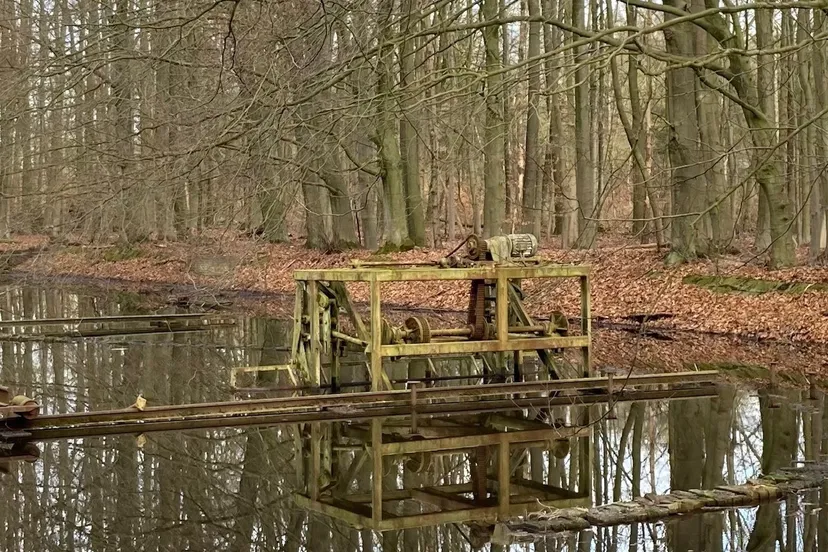 Waterloopbos IMG_4591