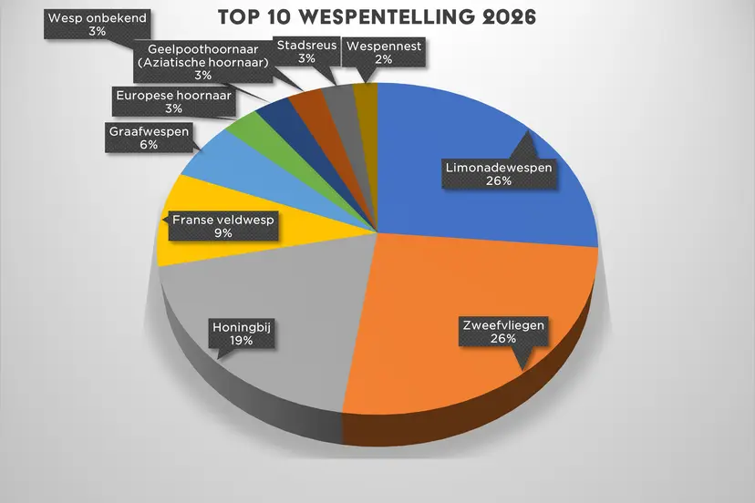 Top 10 wespentelling 2026