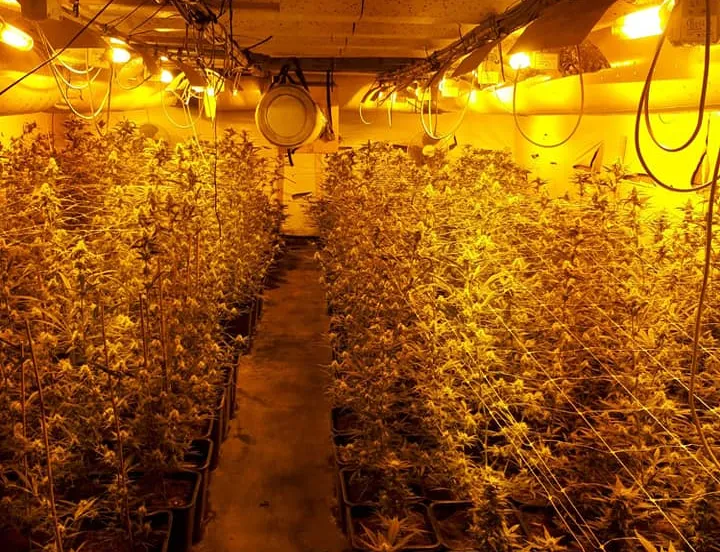 116331430 2661817087422815 1852408718528278630 njpg fb politie nunspeet