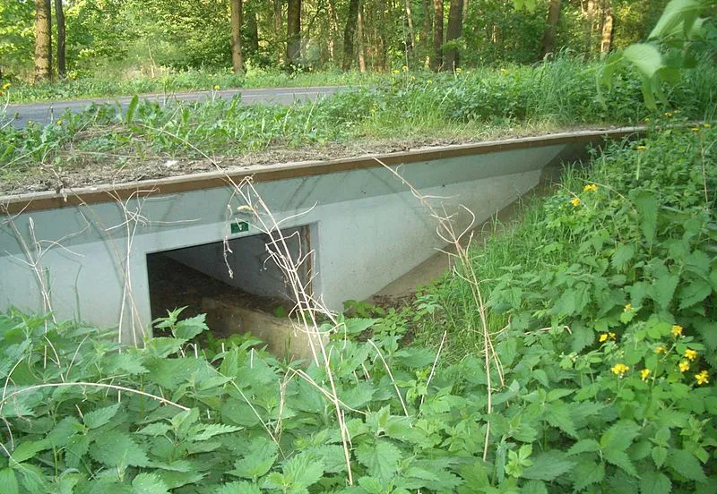 800px amphibientunnel