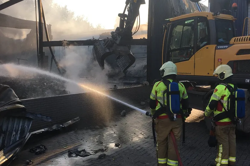 brand stella jan frens