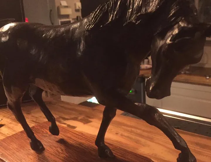 chris ten bruggen kate wisseltrofee vrije academie fb