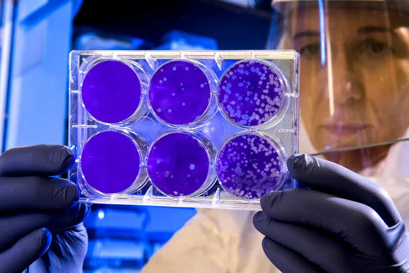 covid 19 coronavirus covid cell pandemic corona virus 1608795 pxherecom