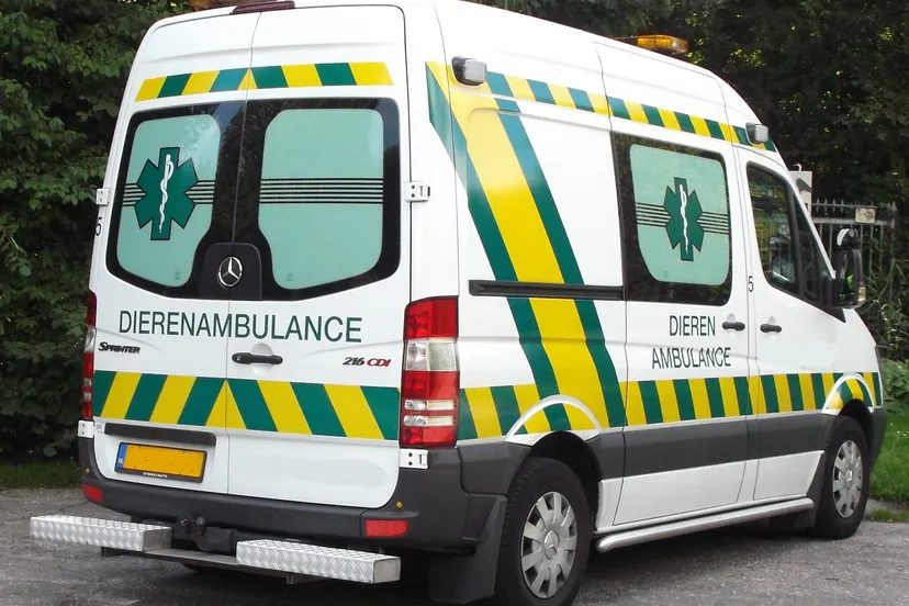 dierenambulance amsterdam zuidoost wikimedia w nnn