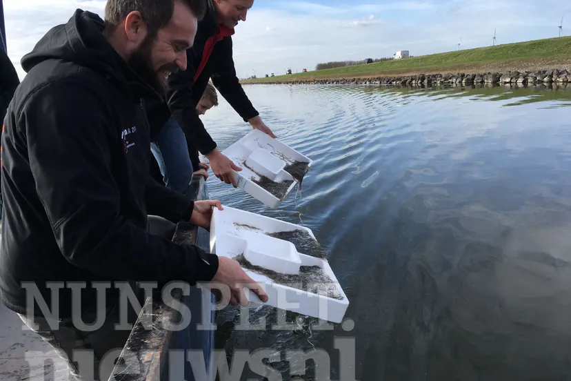 glasaal uitzet harderwijk wolderwijd w hnn