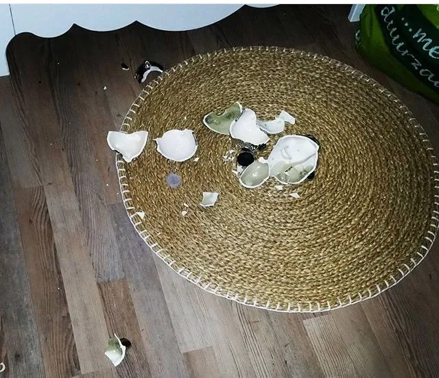 instagram wijkagent nunspeet hulshorst inbraak januari