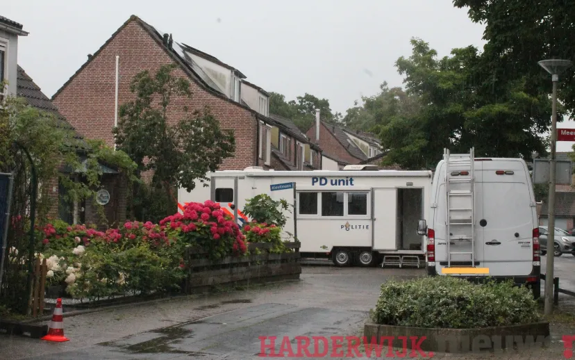 kindermishandeling meerkoet met watermerk 2