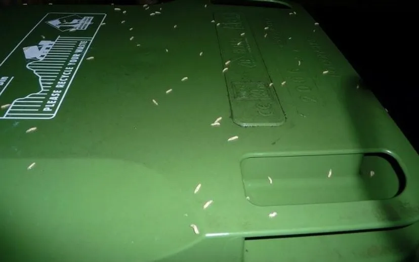 maden op container broken key 915x518 1