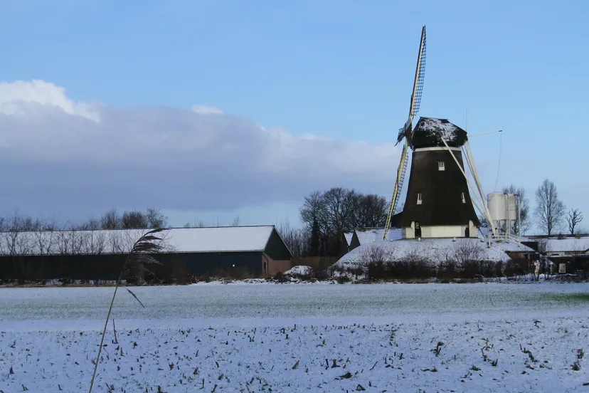 midwintersnertwandeltocht 2018 duif