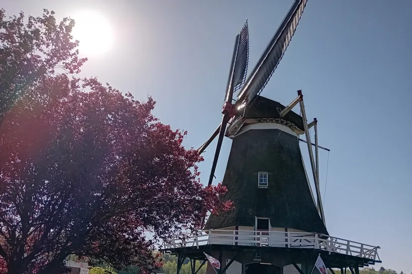 molen