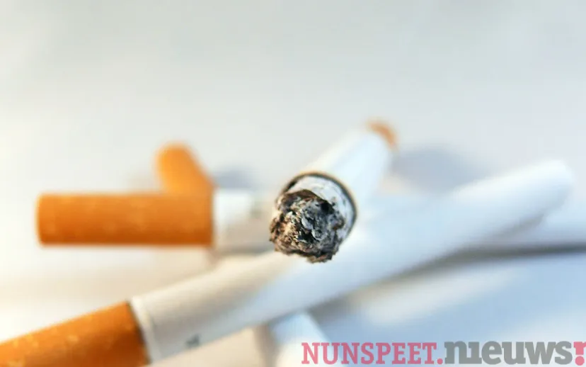 ontwerp zonder titel 1