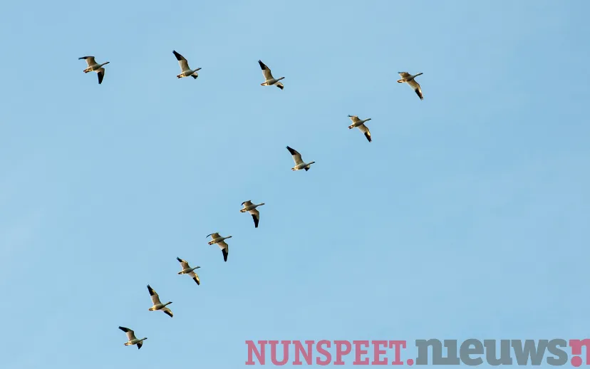 ontwerp zonder titel 10