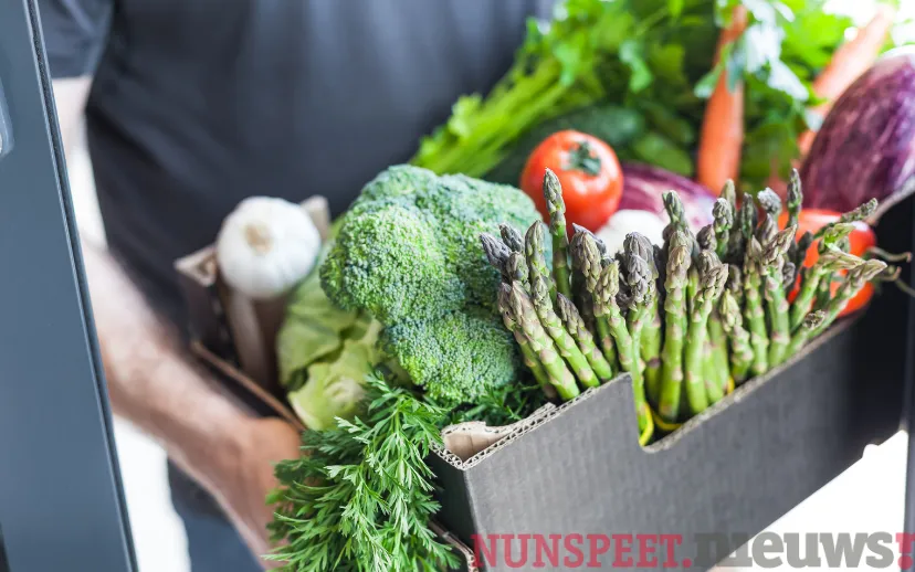 ontwerp zonder titel 14