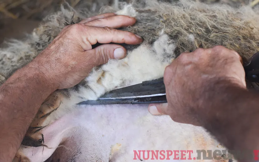 ontwerp zonder titel 15