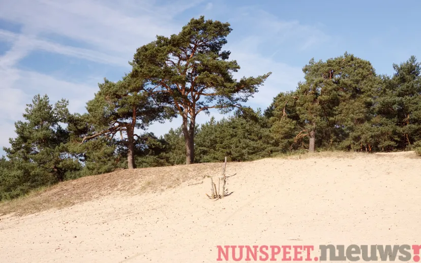 ontwerp zonder titel 2