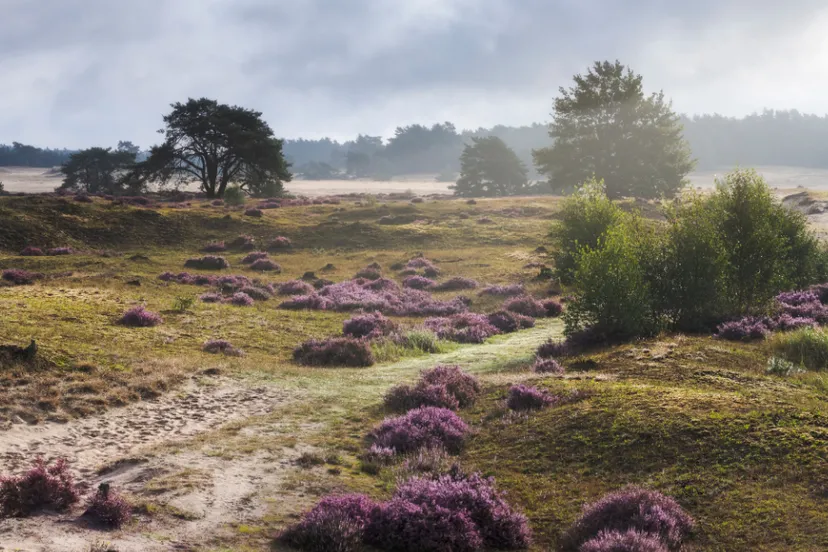 ontwerp zonder titel 2021 04 24t063226637