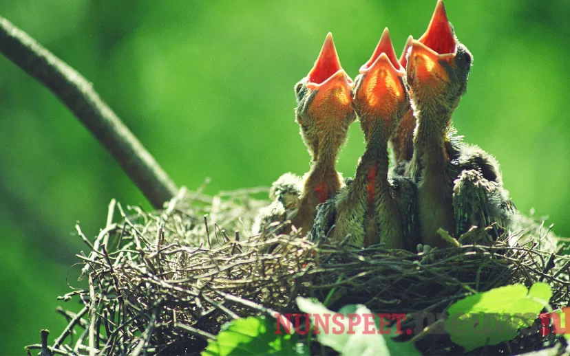 ontwerp zonder titel 2021 06 03t132038727