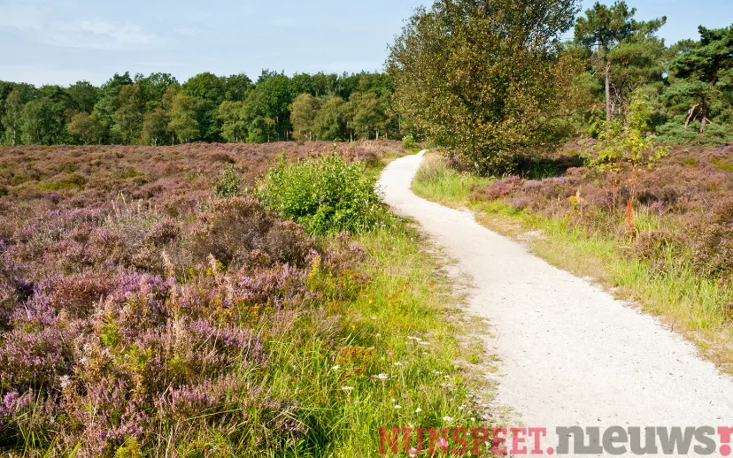 ontwerp zonder titel 2021 09 07t064030251