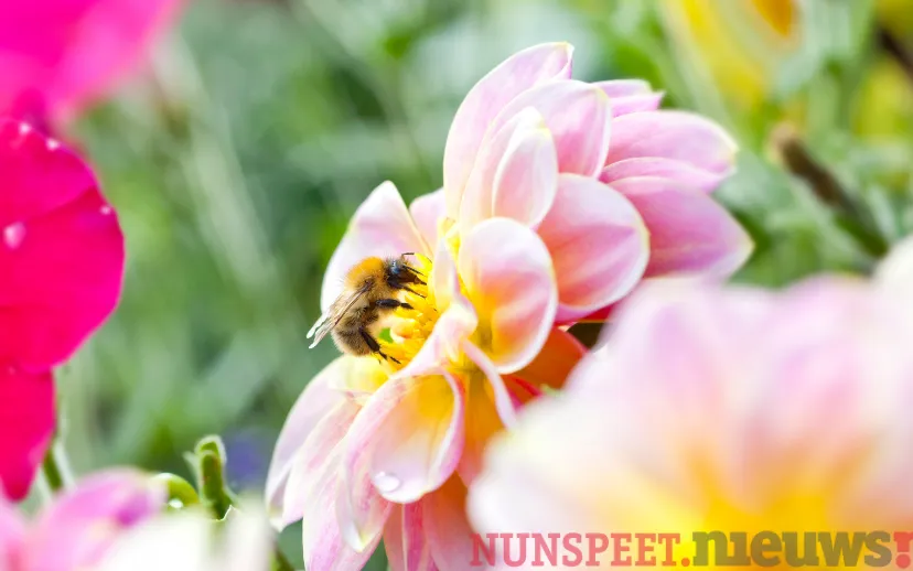 ontwerp zonder titel 2021 09 22t073227106