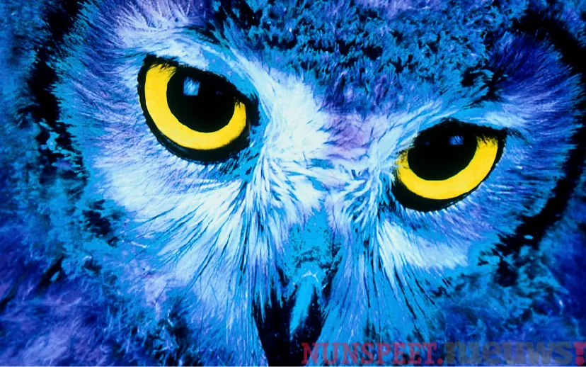 ontwerp zonder titel 2021 09 27t121553037