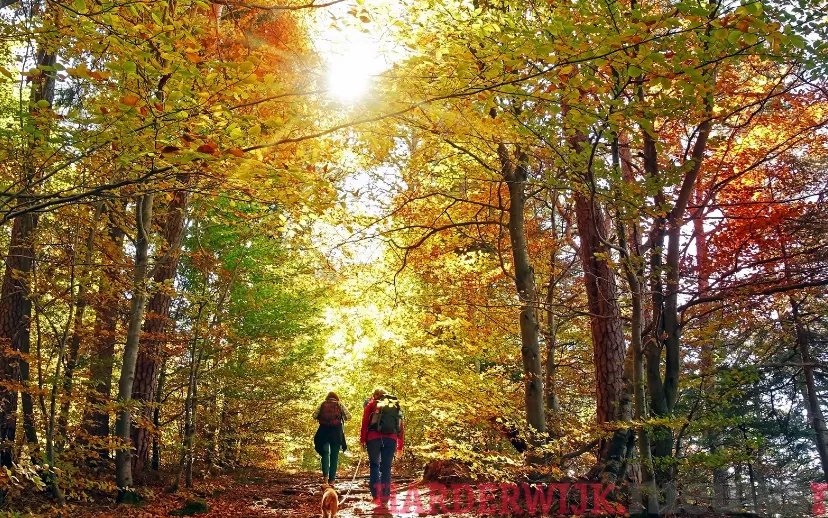 ontwerp zonder titel 2021 09 28t134935801