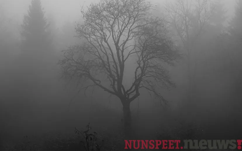 ontwerp zonder titel 2021 10 08t062334513