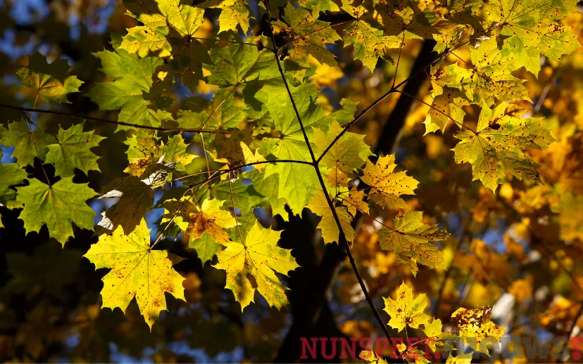 ontwerp zonder titel 2021 10 21t072043655