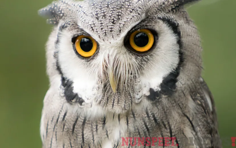 ontwerp zonder titel 2021 10 29t135451896