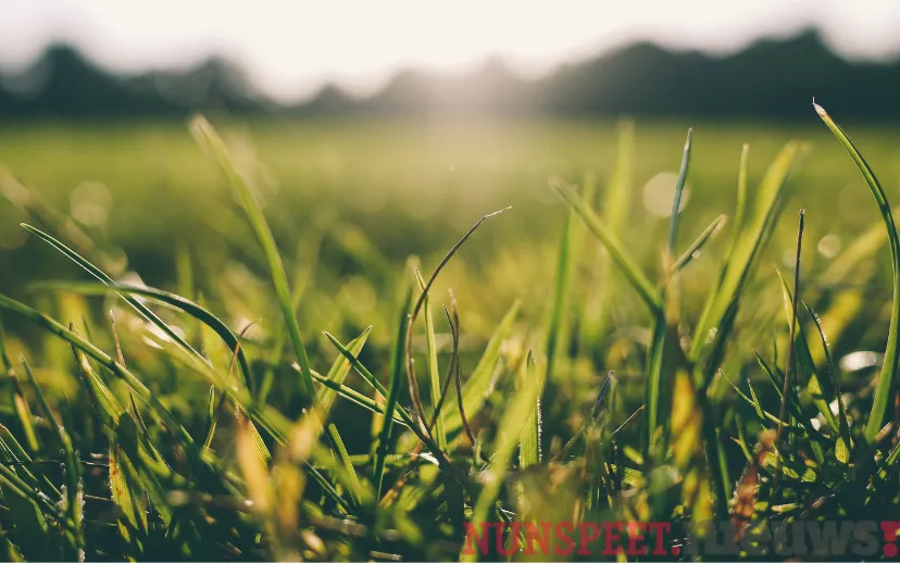 ontwerp zonder titel 2021 10 29t140057608