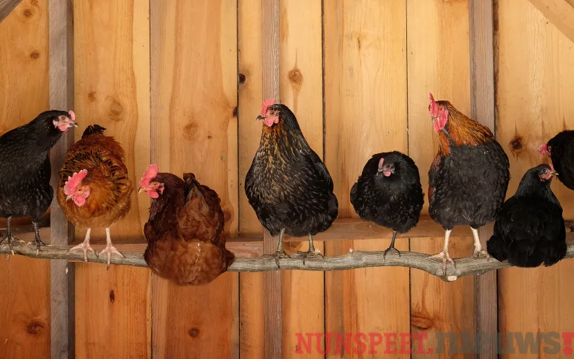 ontwerp zonder titel 2021 11 02t070602714