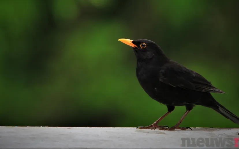 ontwerp zonder titel 2022 01 25t070704501