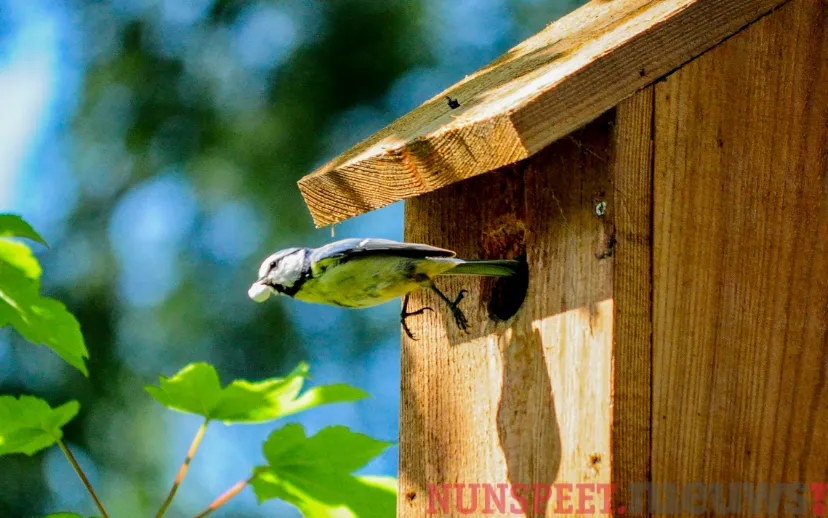 ontwerp zonder titel 2022 02 10t062243740