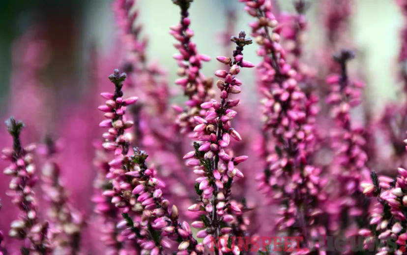 ontwerp zonder titel 2022 03 02t083414366