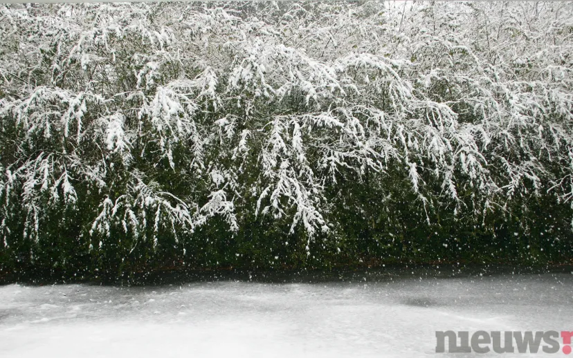 ontwerp zonder titel 2022 04 01t075459720