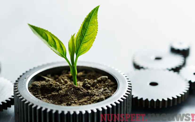 ontwerp zonder titel 2023 03 07t135949512