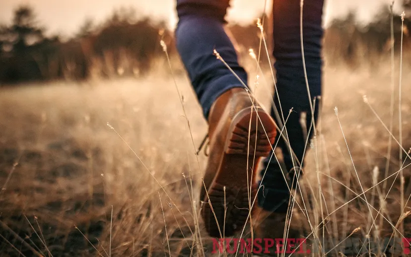 ontwerp zonder titel 2023 03 27t150902834